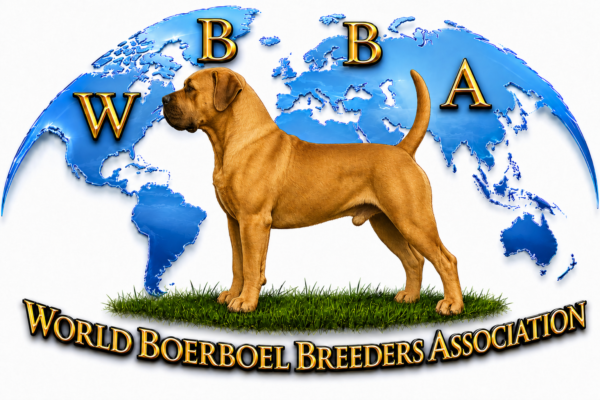 WBBA Logo 2026